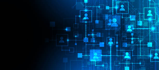 Connect & Collaborate